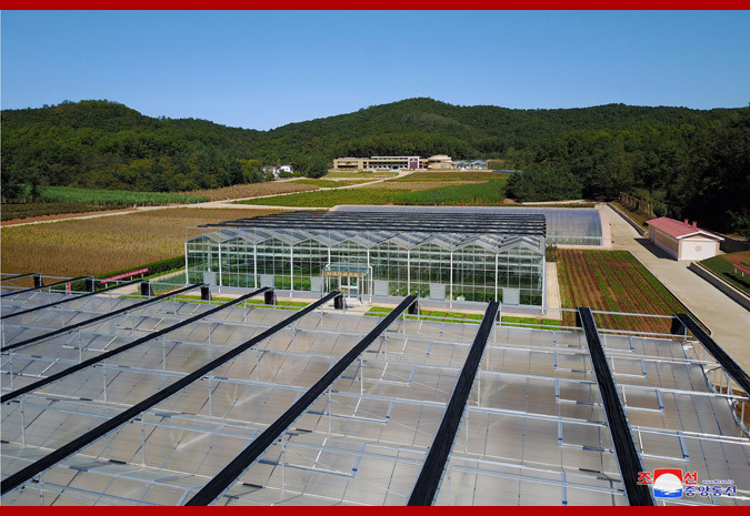 Đây là chuyến thăm đầu tiên của ông Kim Jong Un đến nông trại nằm ở ngoại ô Bình Nhưỡng này kể từ tháng 12/2017. Ông từng tuyên dương cơ sở vật chất của nông trại 1116 là hình mẫu lý tưởng cho ngành nông nghiệp Triều Tiên và nhấn mạnh tầm quan trọng của những nhân viên tại đây. (Ảnh: KCNA)