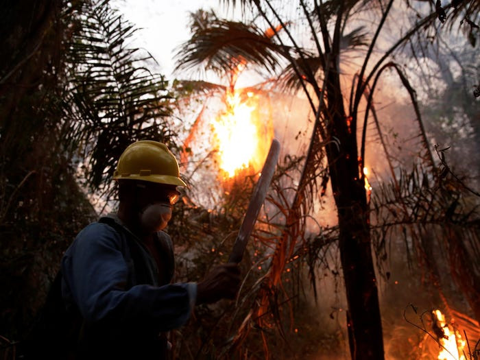 Năm nay, khu rừng rậm nhiệt đới lớn nhất thế giới phải trải qua một trong những đợt cháy kinh hoàng nhất trong lịch sử. (Ảnh: Reuters) Mời độc giả xem thêm video: Các bộ tộc Amazon học kỹ năng chống cháy rừng (Nguồn: VTC14)