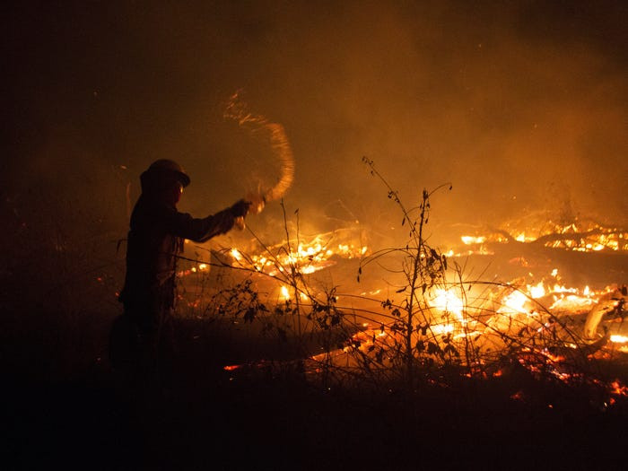 Được biết, số vụ cháy diễn ra suốt tháng 9 vừa qua đạt mức thấp nhất trong vòng 6 năm. Reuters dẫn lời một chuyên gia về cháy rừng tại Đại học Sao Paolo lý giải rằng nguyên nhân của việc này là nhờ công sức chữa cháy và sự hỗ trợ của mưa. (Ảnh: Reuters)