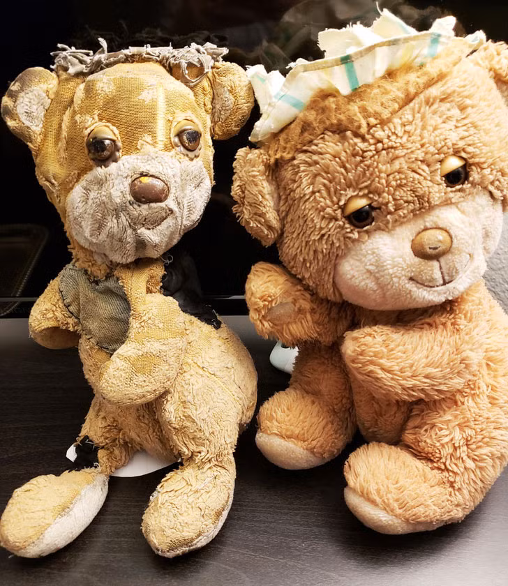 Hai con gấu được tặng cho hai anh em sinh đôi vào ngày chào đời nhưng trong thời gian dài, một bé chơi phá hơn nên con gấu cũng tơi tả và rụng lông nhiều hơn.