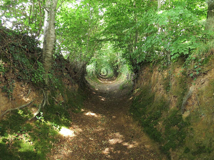 Một đường hào ở Pháp, nhiều thế kỷ trước nó là đường đi của các thương nhân và binh lính.