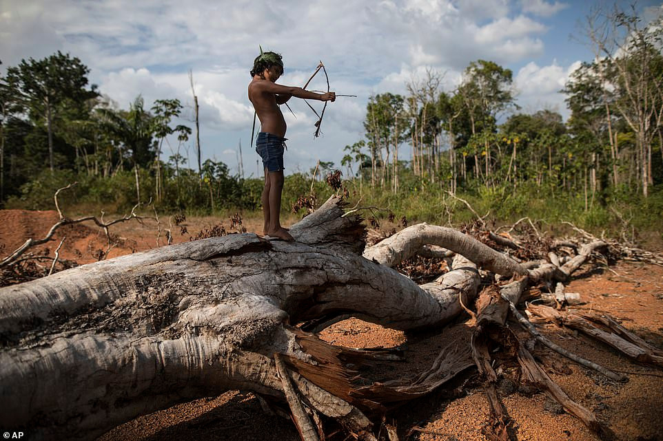 Họ vẫn sử dụng những vũ khí thô sơ như cung tên để săn bắt nhưng được trang bị thêm nhiều thiết bị công nghệ hiện đại khác.