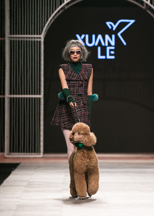 Nữ người mẫu xuất hiện đầy kiêu hãnh trên sàn diễn Tuần lễ Thời trang Việt Nam Thu Đông 2016. (Ảnh: Lao động) 