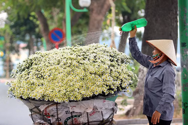 Phun nước để giữ cho hoa tươi.