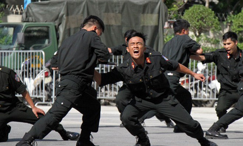 Cảnh sát cơ động Hà Nội trình diễn võ thuật. Ảnh: Hoàng Việt.