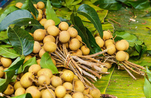 Khi chọn, nên chọn nhãn có cả cành, lá tươi, cuống xanh. Đến gần, nhãn có mùi hương thơm dễ chịu. Tránh mua nhãn vỏ sáng sạch, hoặc đã rụng cành. Ảnh: emdep