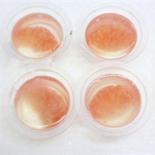 Đổ phần nước bột rau câu ở trên vào hỗn hợp nước đường và nước ép bưởi, khuấy đều. Sau đó rót hỗn hợp nước vào khay thạch bưởi. Ảnh: Cooky.