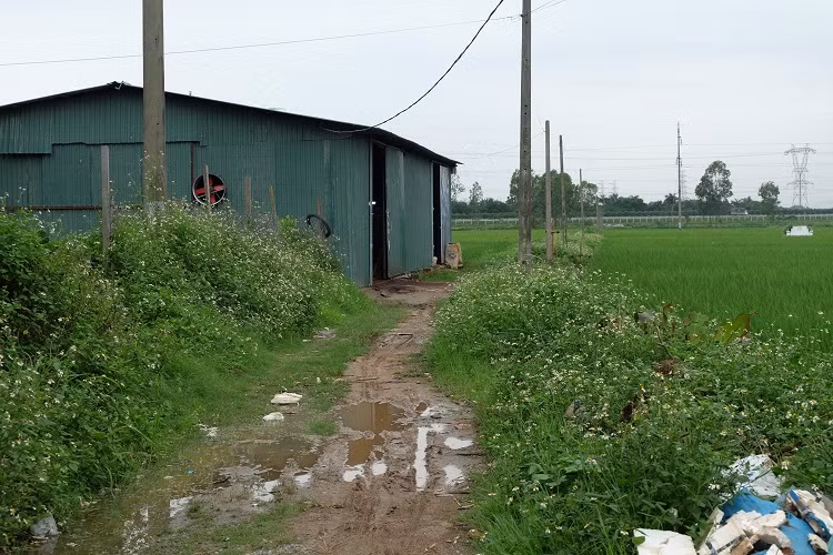 Nha xuong “moc” trai phep tren dat ruong o Dong Anh bi xu the nao?-Hinh-2