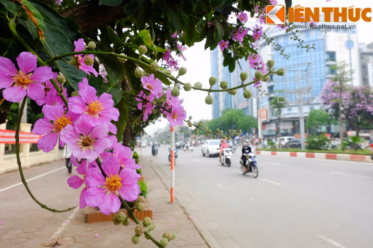 Từ những đường phố lớn...