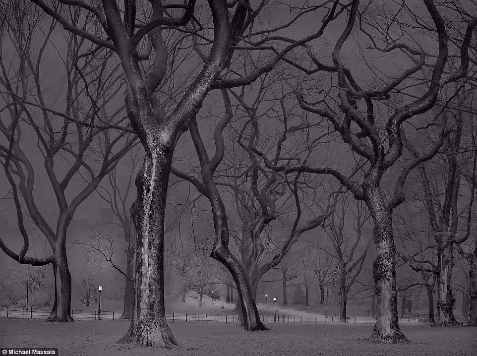 Công viên nổi tiếng của Mỹ vào ban đêm mang vẻ đẹp khác lạ.