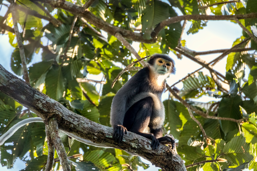 Đồng Nai: mục tiêu phát thải khí nhà kính bằng 0 vào năm 2050 Dong Nai: muc tieu phat thai khi nha kinh bang 0 vao nam 2050