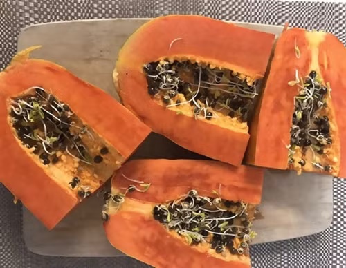 Vua bo dua hau, co gai chet khiep vi thay dieu cuc di nay-Hinh-2