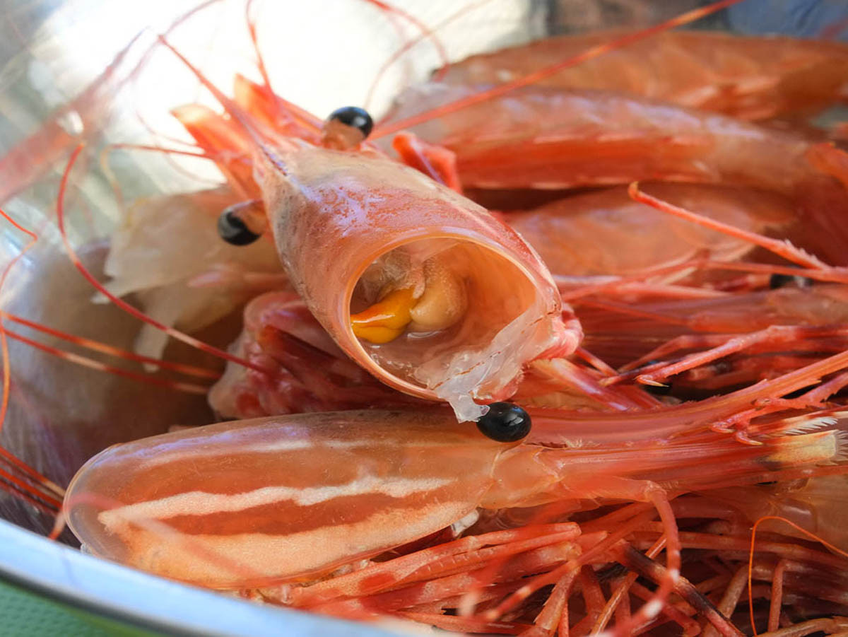 Dau tom co doc? 4 nhom nguoi nay phai han che an tom-Hinh-2