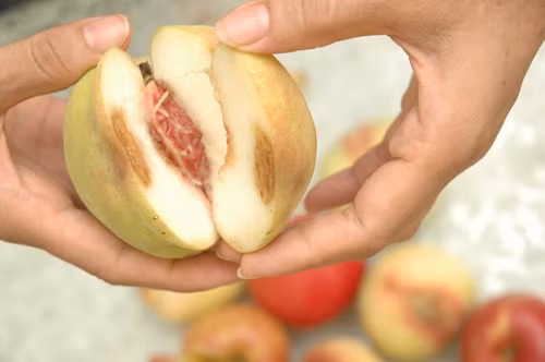 An qua nay ngang uong 8 ly ruou, bo ngay keo ruoc ung thu