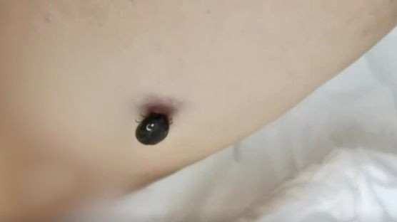 Di ra dong mot buoi, cu ong gap chuyen kinh khiep