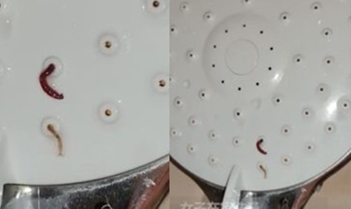 Dang tam, co gai co rum phat hien dieu kinh di o voi sen