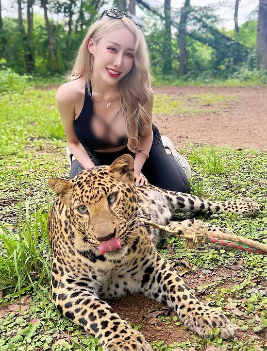 Mới đây, cô nàng gây xôn xao khi diện đồ tập gợi cảm, tạo dáng bên báo hoa mai. Hình ảnh vừa hoang dã vừa phóng khoáng khiến mọi người vừa ngắm vừa...run.