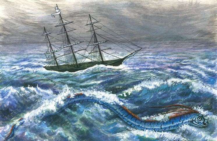 Bi an ve loai “ran bien khong lo” o vinh Along