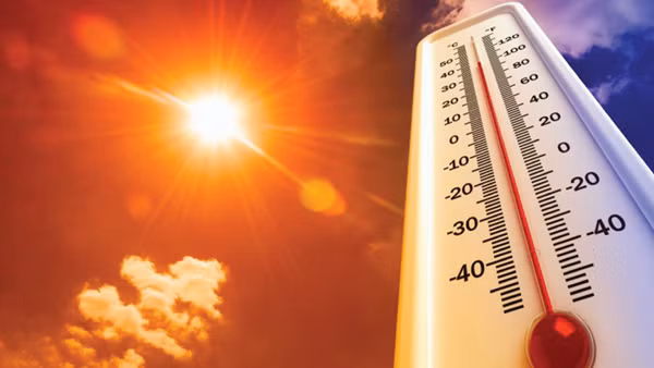 Cá biệt có trường hợp nhiệt độ xác chết tăng đột ngột Cá biệt có trường hợp nhiệt độ xác chết tăng đột ngột