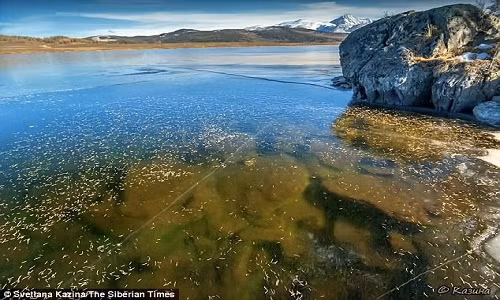 Khí hậu lạnh khiến mặt hồ đóng băng