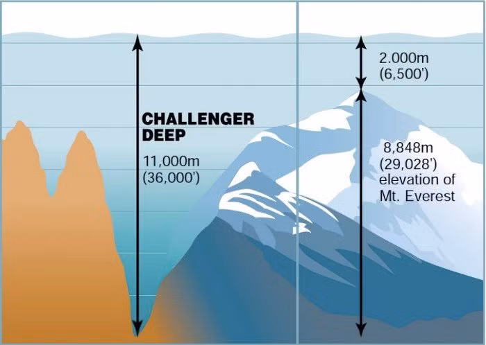 Vực Challenger (11.000m) và đỉnh Everest (8.848m) - (Ảnh: Venngage).