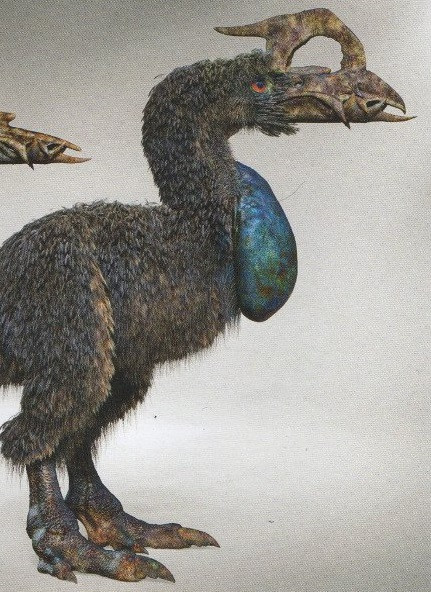 Sinh vật này không có cánh, chúng đi bộ, có thể đi tới 10km/ngày để tìm kiếm thức ăn. Điểm đặc biệt của Necropteryx là chúng đẻ trứng trên xác động vật mà sau đó chúng coi đó là tổ của mình.