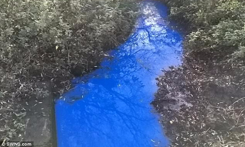 Nguyên nhân của nguồn nước có thể do ô nhiễm.