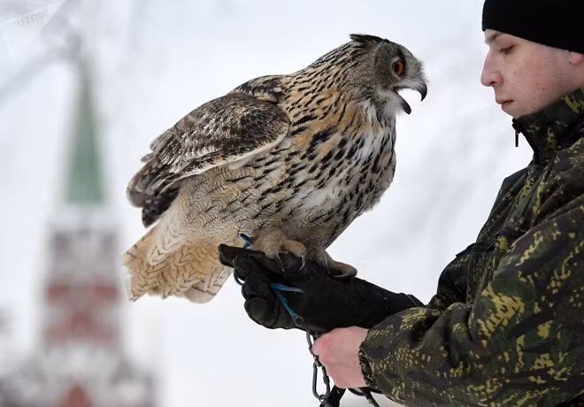 Một người lính bên cạnh chú chim ưng của đội "cảnh vệ bay" bảo vệ điện Kremlin.