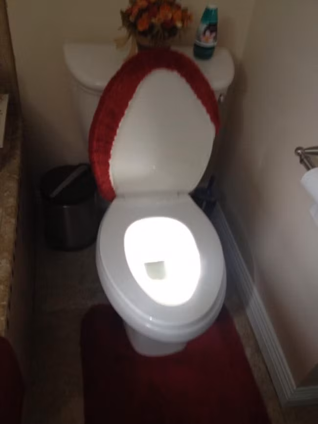 Tại sao tủ lạnh có thể có đèn mà toilet thì không nhỉ?