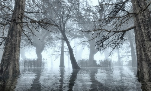 Đầm lầy chết chóc. Ảnh: Mod DB