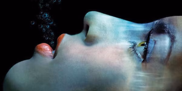 Xác chết có thể phát ra môi chất lạnh giống như tủ lạnh Xác chết có thể phát ra môi chất lạnh giống như tủ lạnh