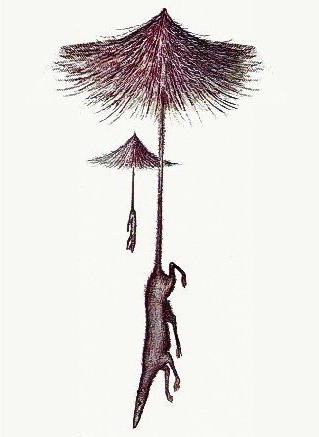 Các nhà khoa học cho hay, môi trường sống của loài sinh vật này là khu vực Bắc Mỹ.