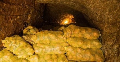 Nhà kho nông trại của ông lão nông dân đầy khoai tây vừa thu hoạch.