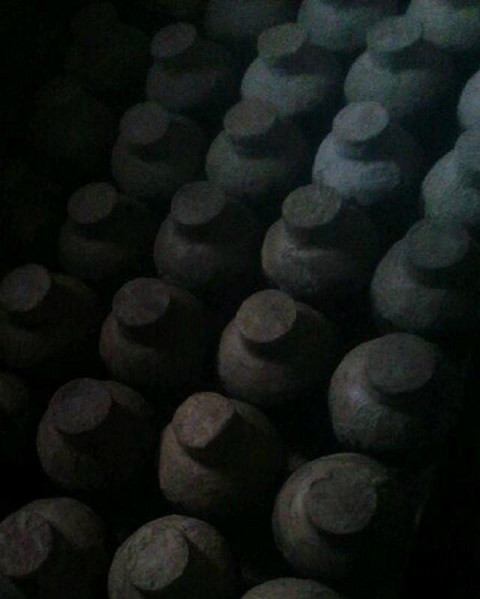 Đoàn thám hiểm vấp phải vô số những chiếc lọ làm bằng đất sét.