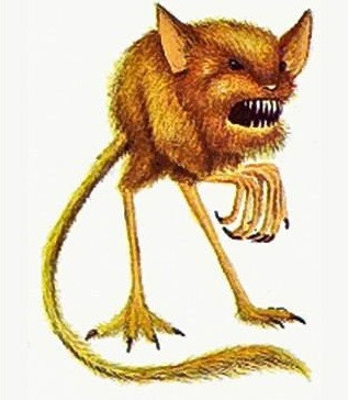 Đôi chân dài của sinh vật này giúp chúng nhảy lò cò để vượt qua những khoảng cách đáng kể trong sa mạc.