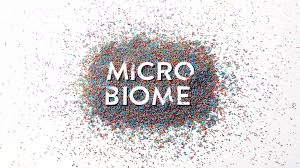 Microbiome - hiểu biết và ứng dụng microbiome. Các hóa chất do microbiome bài tiết để can thiệp và tiêu hóa thức ăn đã được nghiên cứu dùng cho mục đích chữa bệnh, thậm chí còn được dùng cho nghiên cứu, khám phá ra cơ chế gây bệnh và phát triển của bệnh tật. Năm 2018 được xem là năm của microbiome với những sản phẩm đầy hứa hẹn nhằm mang lại cuộc sống tốt hơn cho con người.