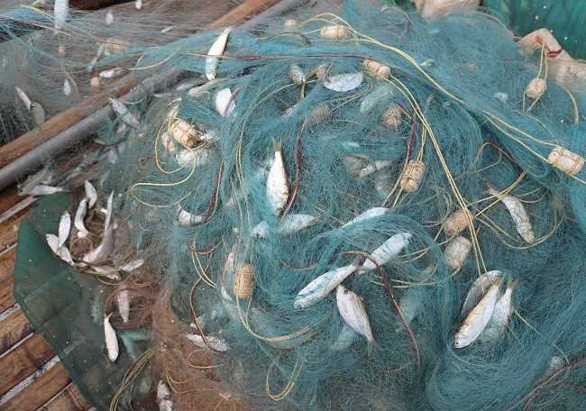 Những chuyến biển “bội thu” sau kỳ nghỉ tết Nguyên đán và biển động kéo dài đã đem lại cho ngư dân vùng bãi ngang Nghệ An nguồn thu nhập khá và đây cũng là tín hiệu vui cho bà con làm nghề khai thác thủy sản.