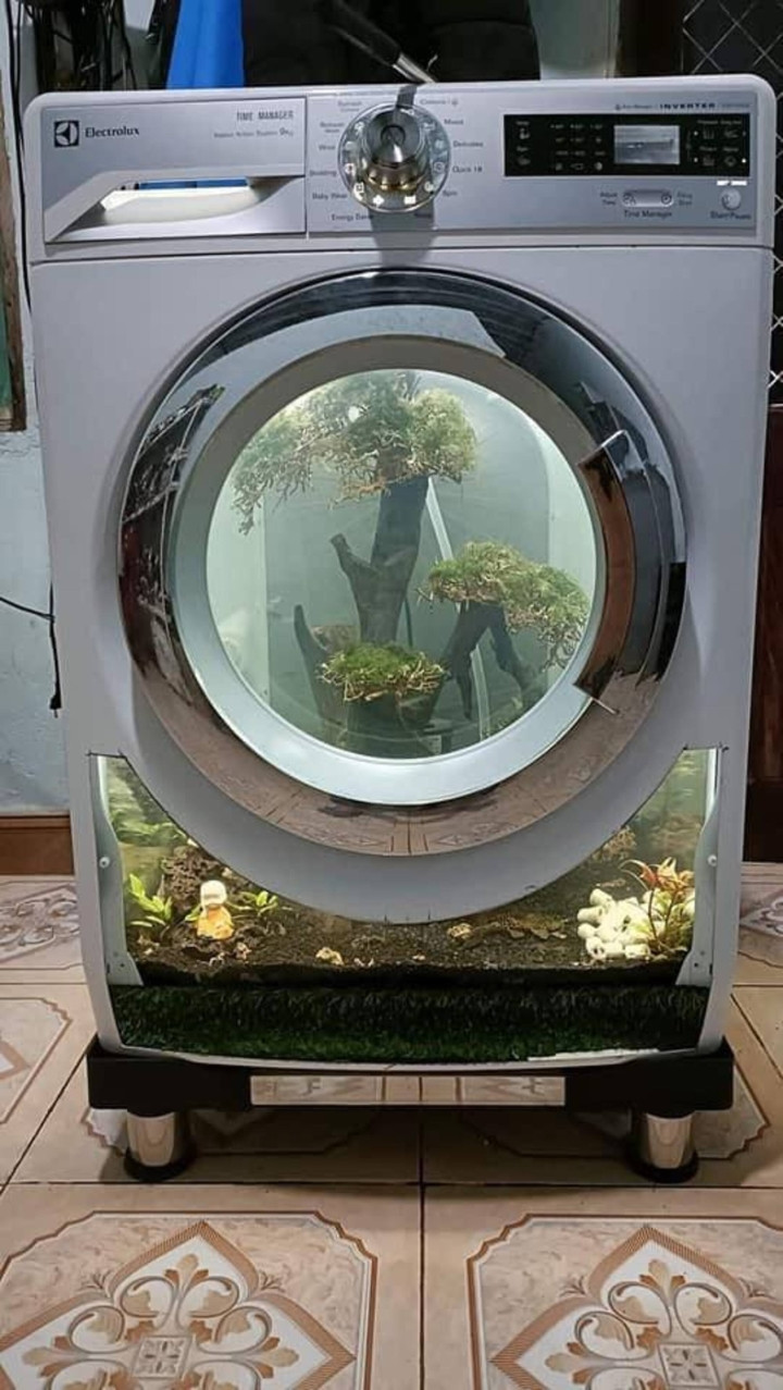 Những đồ vật trong nhà bị hỏng tưởng chừng như sẽ vứt bỏ, thế nhưng qua đầu óc sáng tạo của cư dân mạng chúng bỗng trở thành thứ có ích không ai ngờ tới.