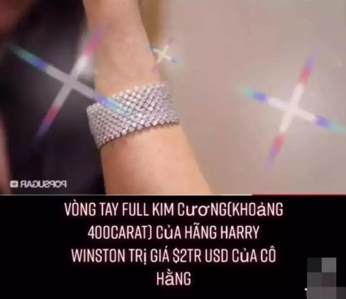 Chỉ riêng chiếc vòng 400 carat thương hiệu Harry Winston của nữ doanh nhân đã có giá khoảng 2 triệu USD, tương đương căn biệt thự hoành tráng lệ 47 tỷ đồng.