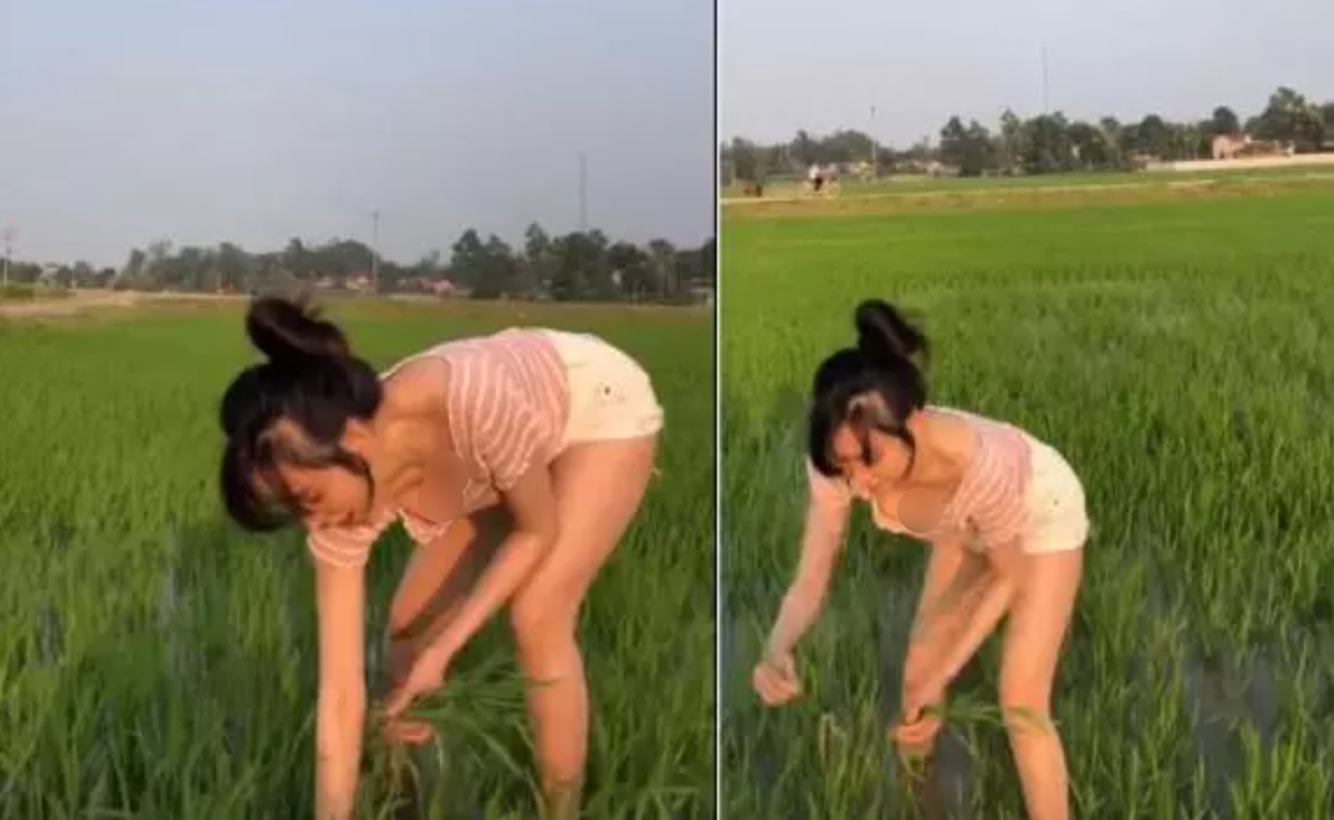 So với năm ngoái, clip đi làm ruộng lần này của Bà Tưng giờ còn mặc đồ xẻ sâu gợi cảm hơn nhiều.