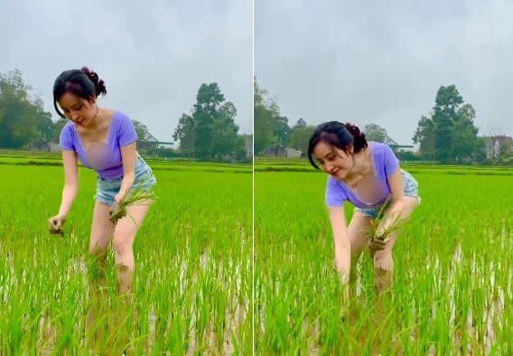 Mới đây, hot girl xứ Nghệ gây chú ý khi đăng tải video mới. Trong đó, cô mặc quần short cùng áo cổ rộng đi dặm lúa. Điều đáng nói là khi cúi xuống, phần cổ áo trễ xuống khiến vòng 1 có phần hớ hênh.