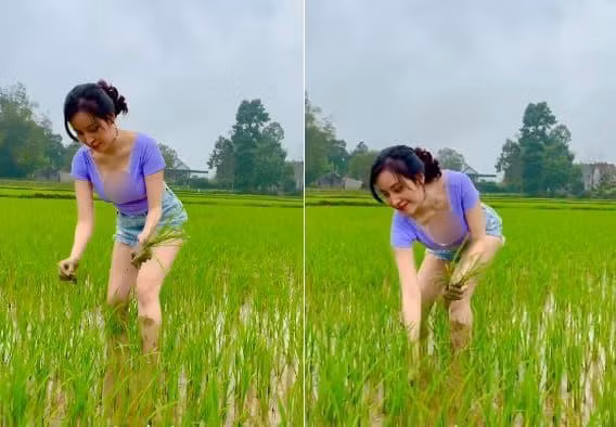 Mới đây, hot girl xứ Nghệ gây chú ý khi đăng tải video mới. Trong đó, cô mặc quần short cùng áo cổ rộng đi dặm lúa. Điều đáng nói là khi cúi xuống, phần cổ áo trễ xuống khiến vòng 1 có phần hớ hênh.