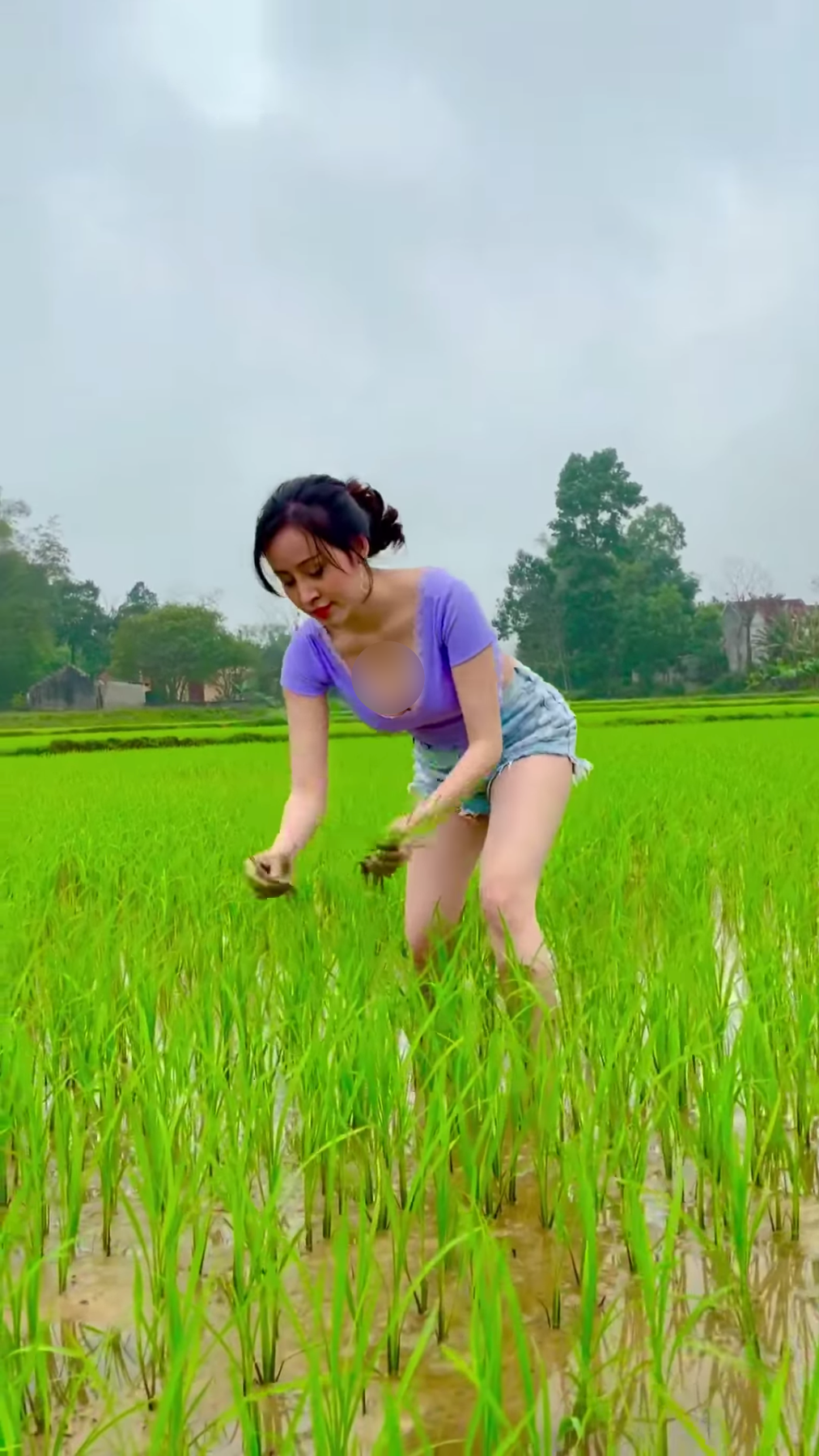 Video ngắn của hot girl quê Nghệ An nhận được sự chú ý của cư dân mạng và nhận về nhiều ý kiến trái chiều, đặc biệt netizen chỉ trích cách lựa chọn trang phục không phù hợp khi đi làm ruộng.