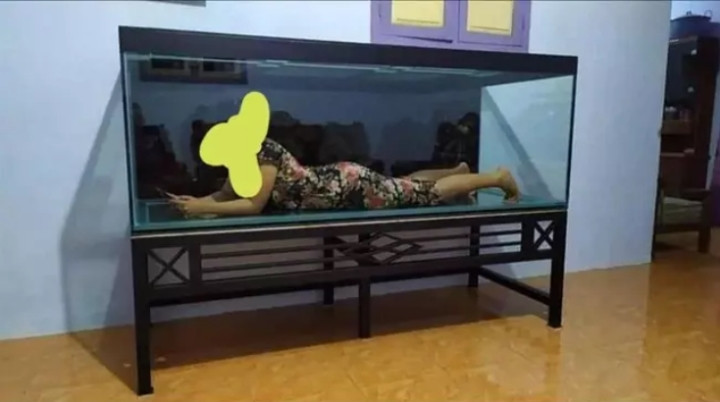 Thấy chồng mê cá ảnh, tậu bể cá to khổng lồ tốn kém về nhà, chị vợ liền ra tay. Ngày hè nóng nực, chị chọn bể cá là nơi nghỉ ngơi, lướt mạng cho... sang.
