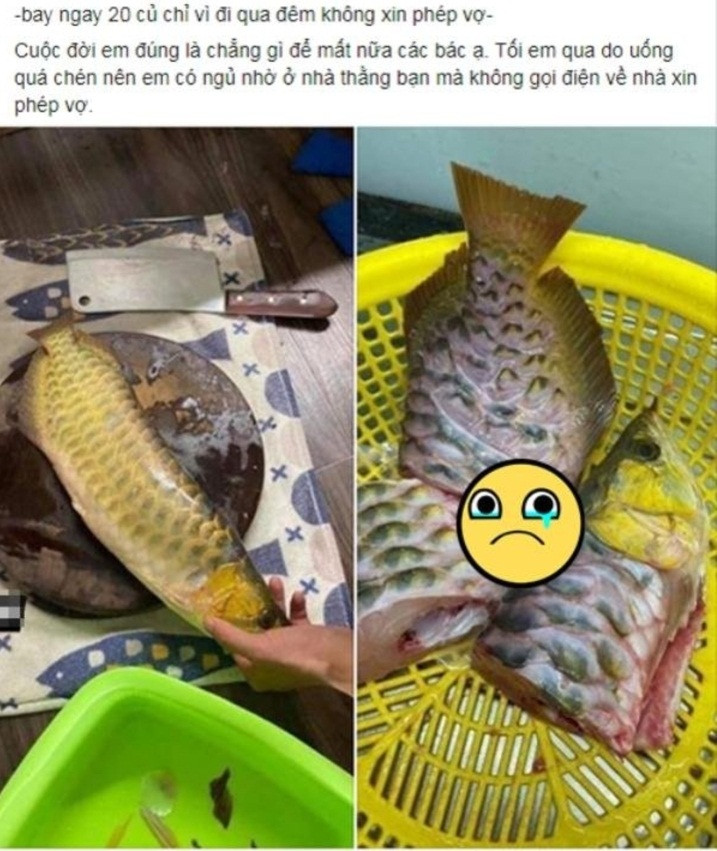 Biết anh rất quý cá nên em cho sương sương một con lên thớt, cảnh cáo vì không gọi điện về nhà xin phép vợ.