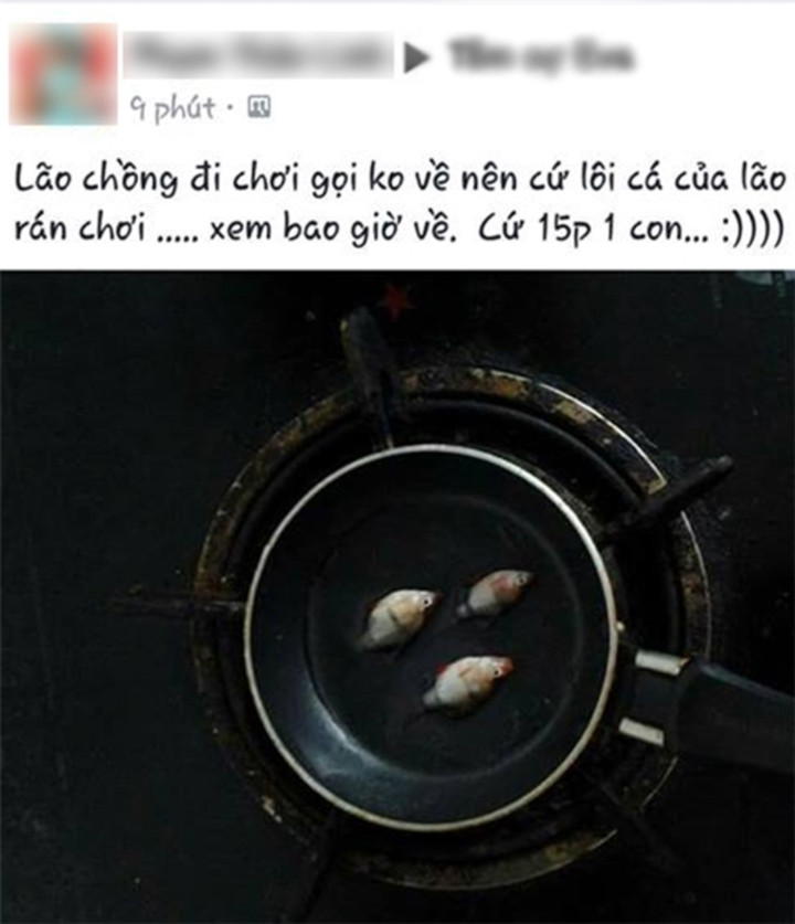 Mọi tội lỗi đều phải trả giá bằng... rất nhiều cá, cứ về muộn 15 phút là người vợ "bá đạo" này lại xử đẹp một con cá cảnh của chồng.