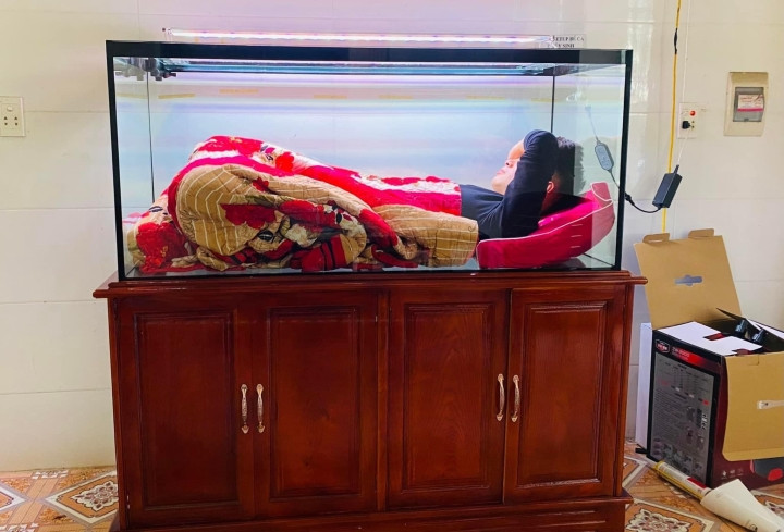 Tuy nhiên, không phải chị vợ nào cũng sẵn sàng chiều lòng đam mê với thú chơi cá cảnh ấy của chồng.