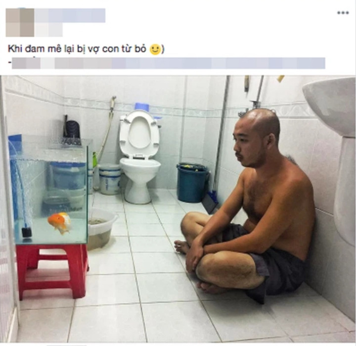 Ngoài việc yêu vợ thương con, nhiều anh chồng có những sở thích, đam mê riêng như mê cây cảnh, game... hay phổ biến là thú chơi cá cảnh.