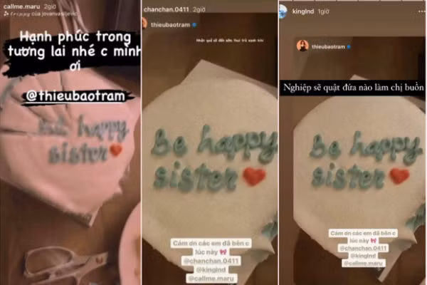 Vụ việc chiếc bánh kem bắt đầu vào năm 2021, khi scandal "trà xanh" nổi lên, chiếc bánh kem với dòng chữ "be strong sister" mà Linh Ngọc Đàm và Xoài Non đăng tải với hàm ý động viên Thiều Bảo Trâm đã khiến công chúng cực kỳ xôn xao.