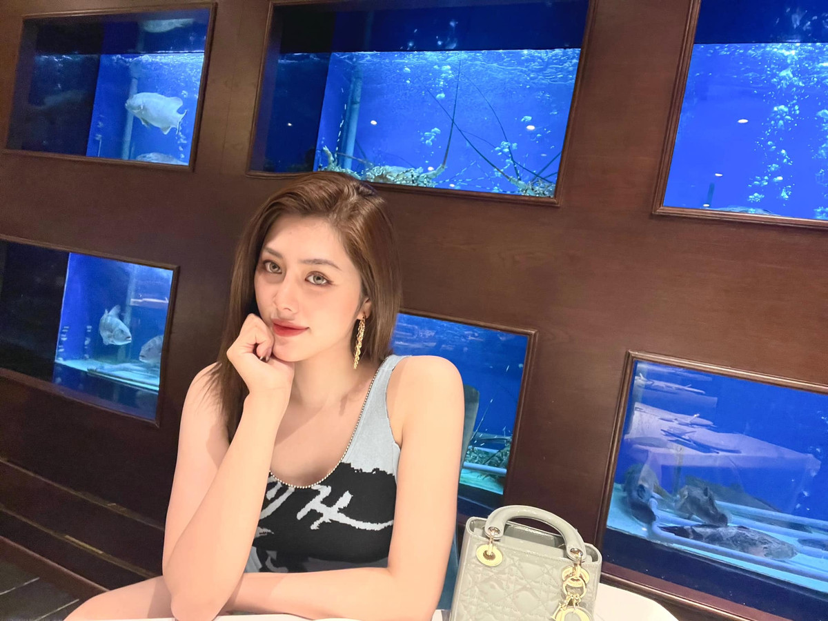 Huỳnh Tiên được biết đến với tư cách người mẫu, Hoa hậu Châu Á tại Úc 2016. Ngoài ra, cô còn kinh doanh, đảm nhận vai trò giám đốc của một hệ thống làm đẹp.